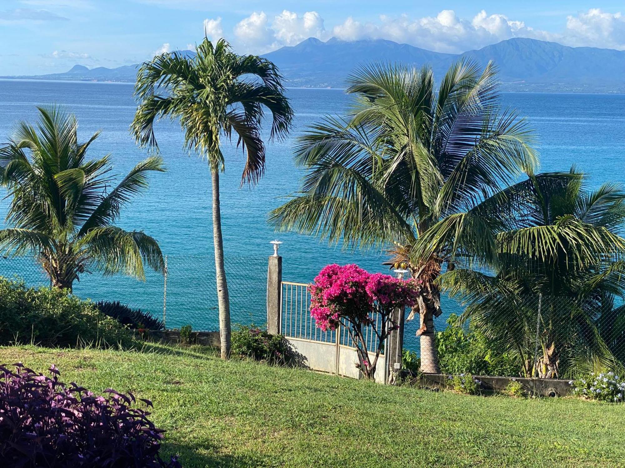 Promontoire Design Sur Mer Le Gosier  Exteriér fotografie